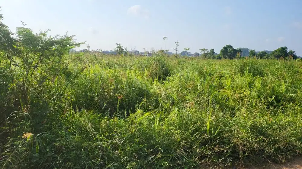 Dijual Tanah Murah Lokasi Strategis daerah Tenggarong Kutai Kartanegar