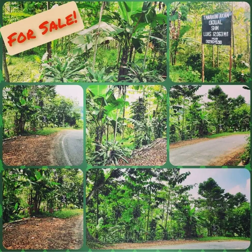Dijual Cepat tanah lokasi strategis di Sukabumi