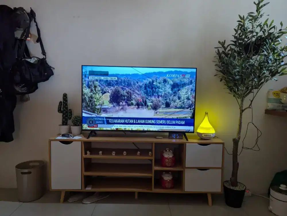 Google TV TCL 43