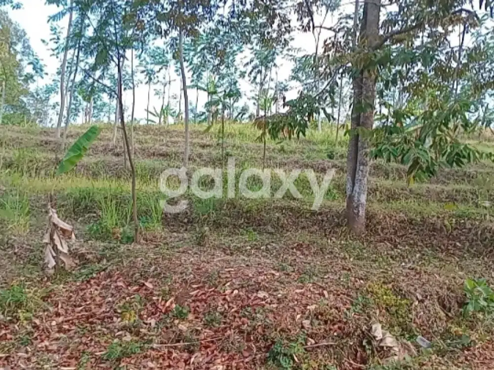 TANAH BERLOKASI SANGAT STRATEGIS di PRIGEN