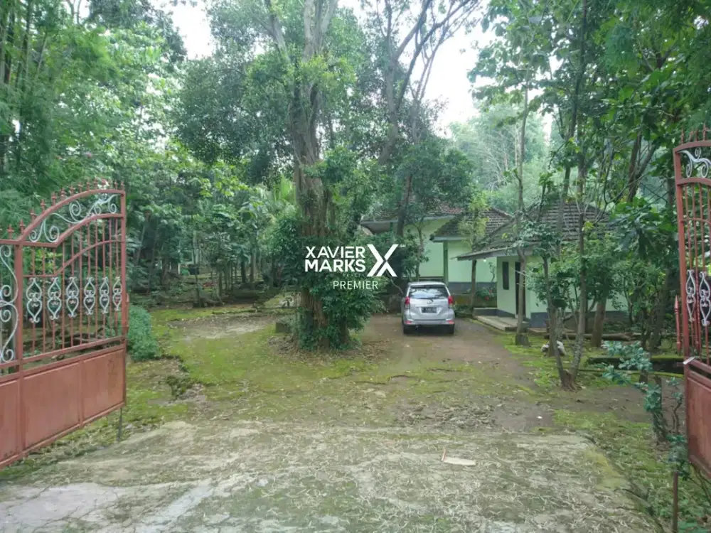 Dijual Tanah di Purwodadi Pasuruan Strategis di Jalan Provinsi