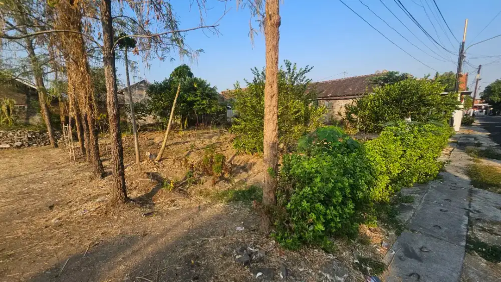 Tanah pekarangan