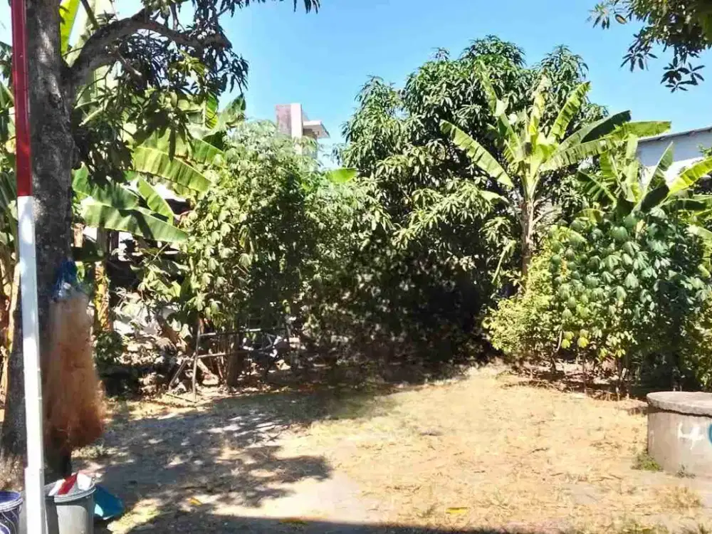DiJual Cepat Kavling Luas 150m2 SHM lokasi Mranggen dekat Jalan Raya Semarang Purwodadi