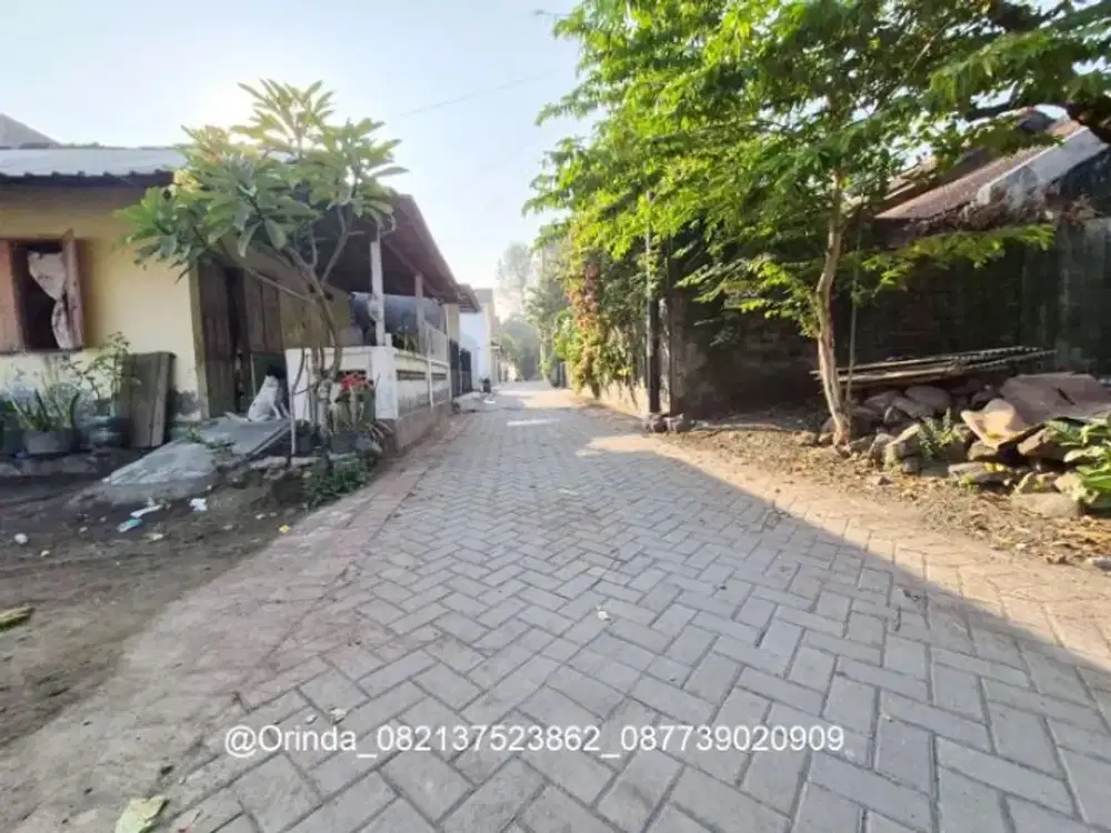 LT 233 LD12 SHMP CONDONGCATUR TIYASAN TANAH KAVLING JL KALIURANG KM 8 DEKAT MINOMARTANI, UGM, UPN, FE UII CONCAT, JL AFFANDI GEJAYAN, JL DAMAI, DAYU