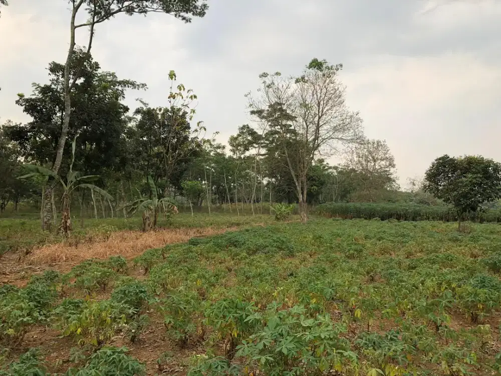 Dijual Tanah Luas ±8 Hektar - Parung, Bogor.