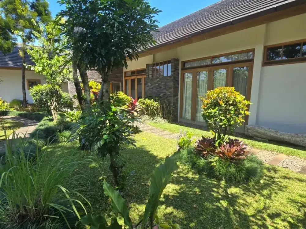 Termurah Rumah Mewah Furnsih Asri Siap Huni Ciumbuleuit Bandung Utara Ada Kolam Renang