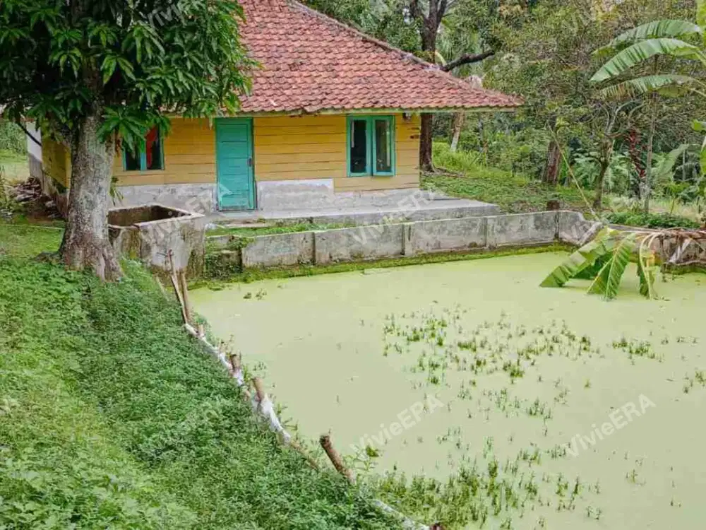 Dijual tanah + Sawah ada kolam ikan Jatinunggal Sumedang