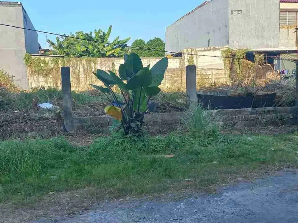 Dijual Tanah Murah Di Jemursari Selatan. Cocok Untuk Bangun Kantor, Gudang, Lembaga Pendidikan, Dll