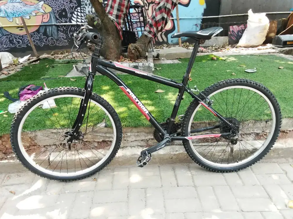 Polygon thunder 300