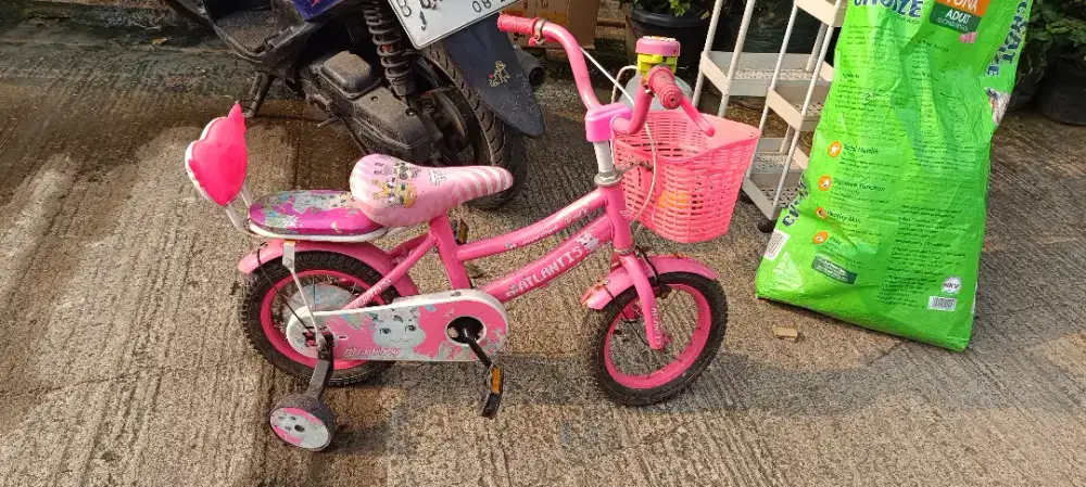 SEPEDA ANAK UKURAN 12