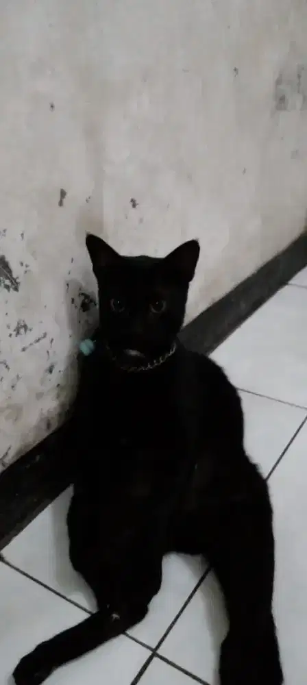 Mencari Pekerjaan