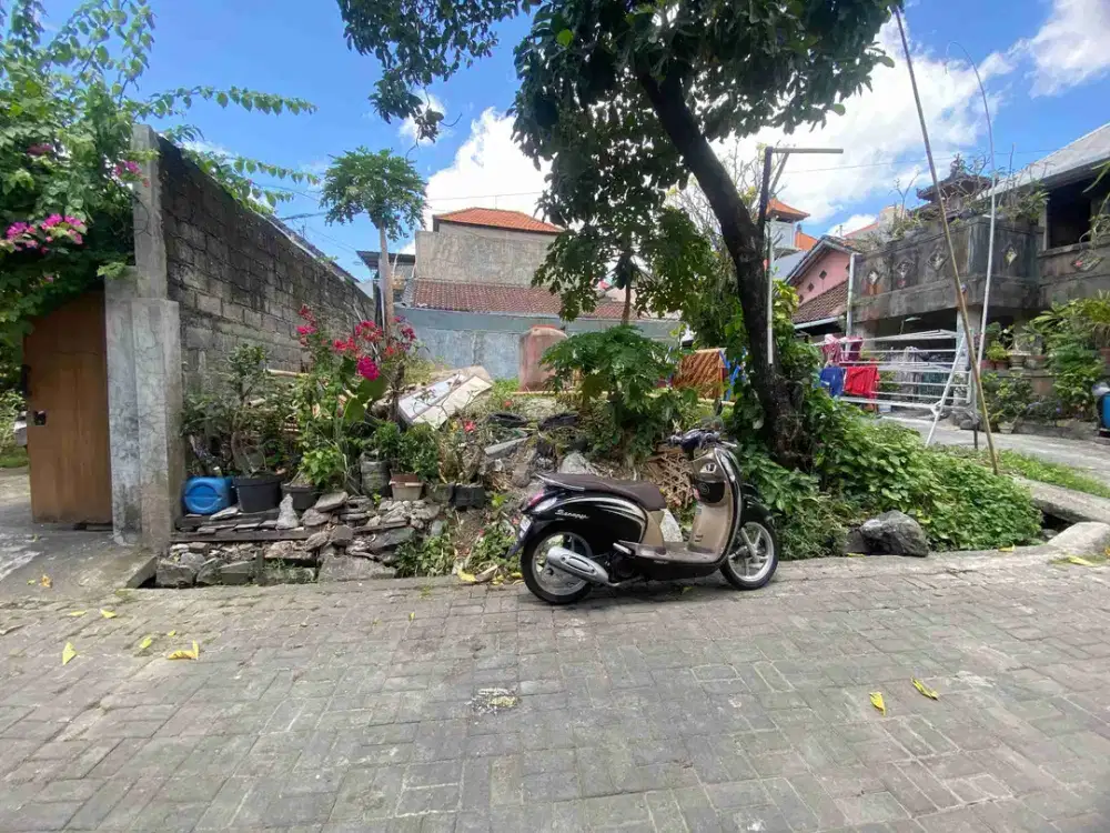 Tanah padonan Canggu cocok untuk hunian pribadi atau homestay guesthouse