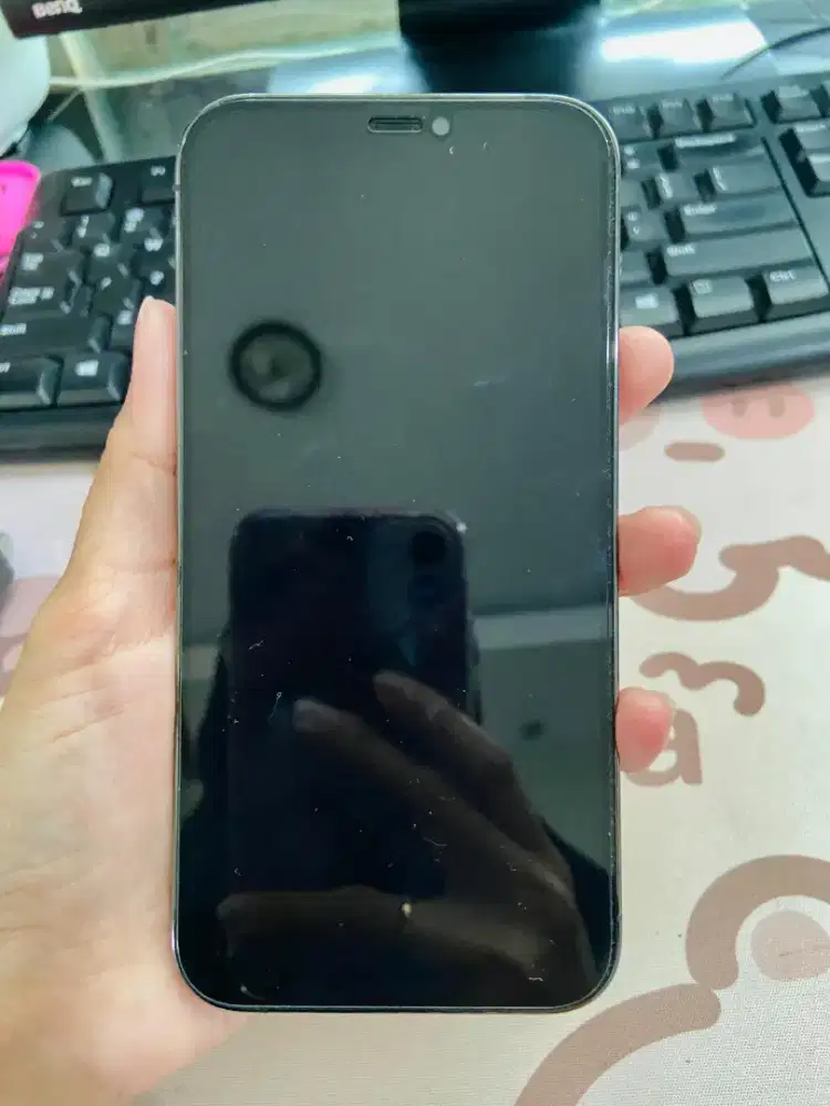 WTS IPHONE 12 PRO