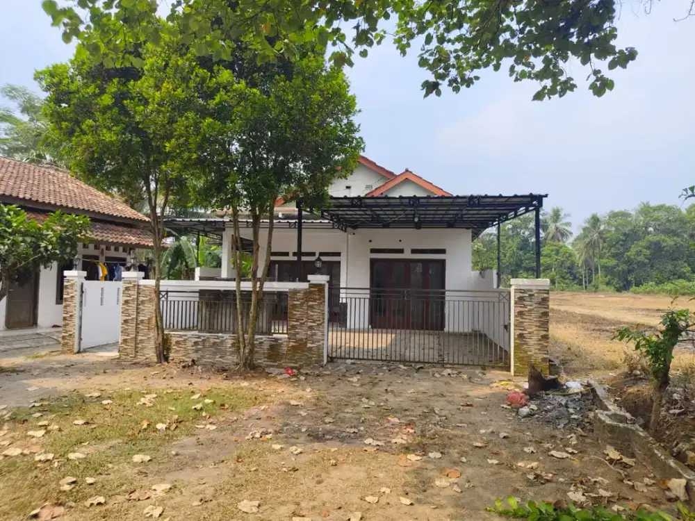 Properti Luas & Potensial di Serang Slow Living Mode