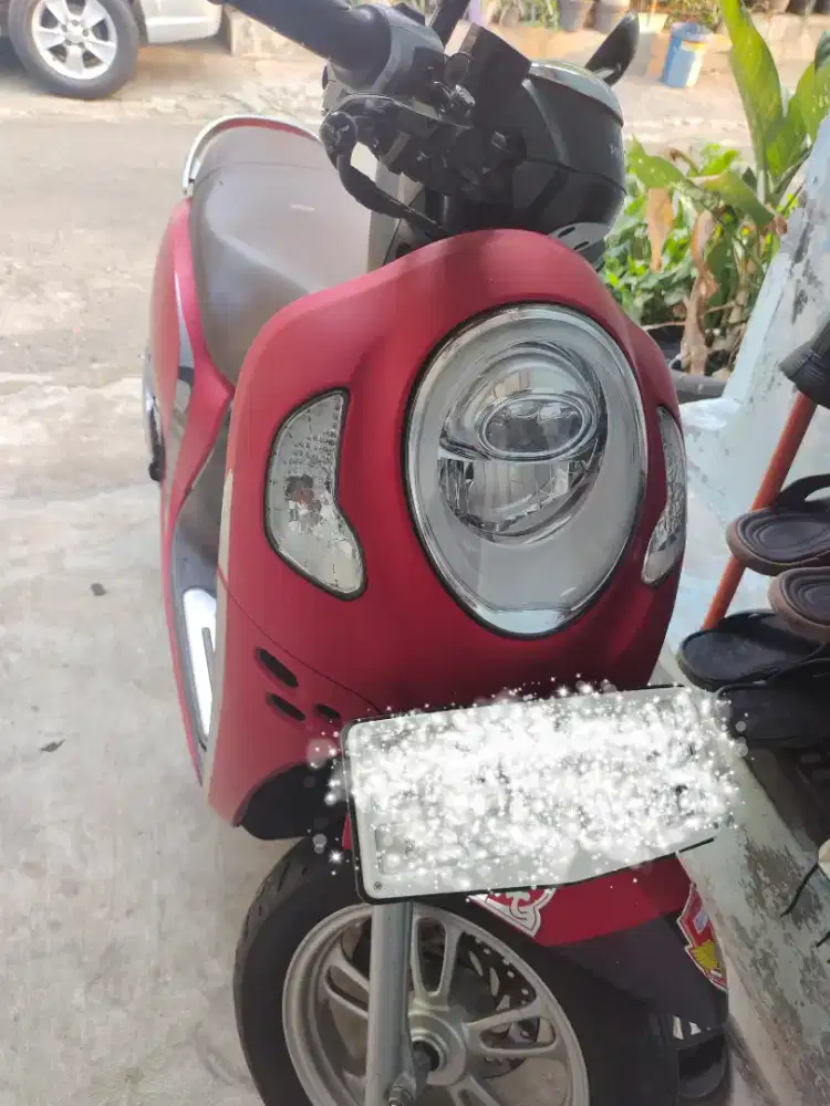 Honda Scoopy Stylish