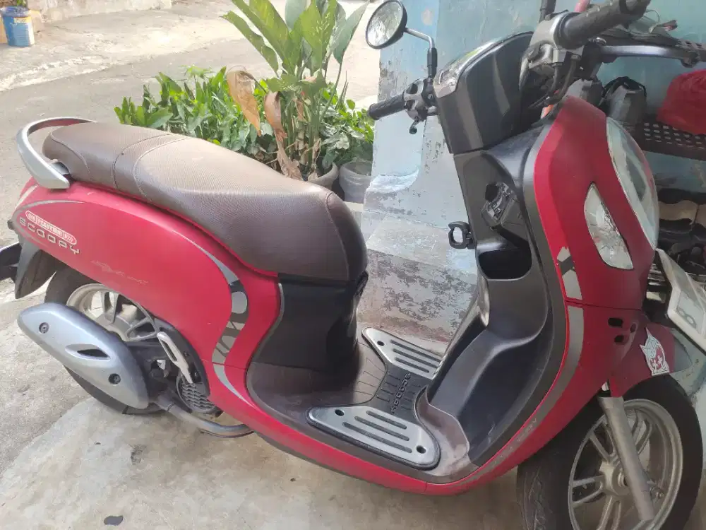 Honda Scoopy Stylish