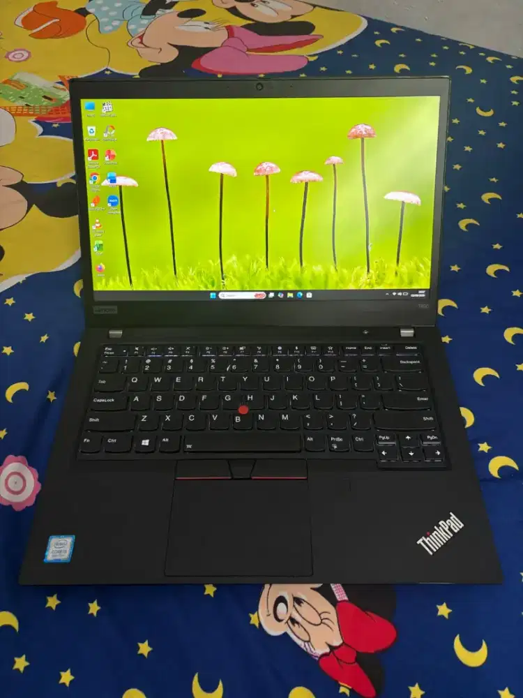 Lenovo Thinkpad T490