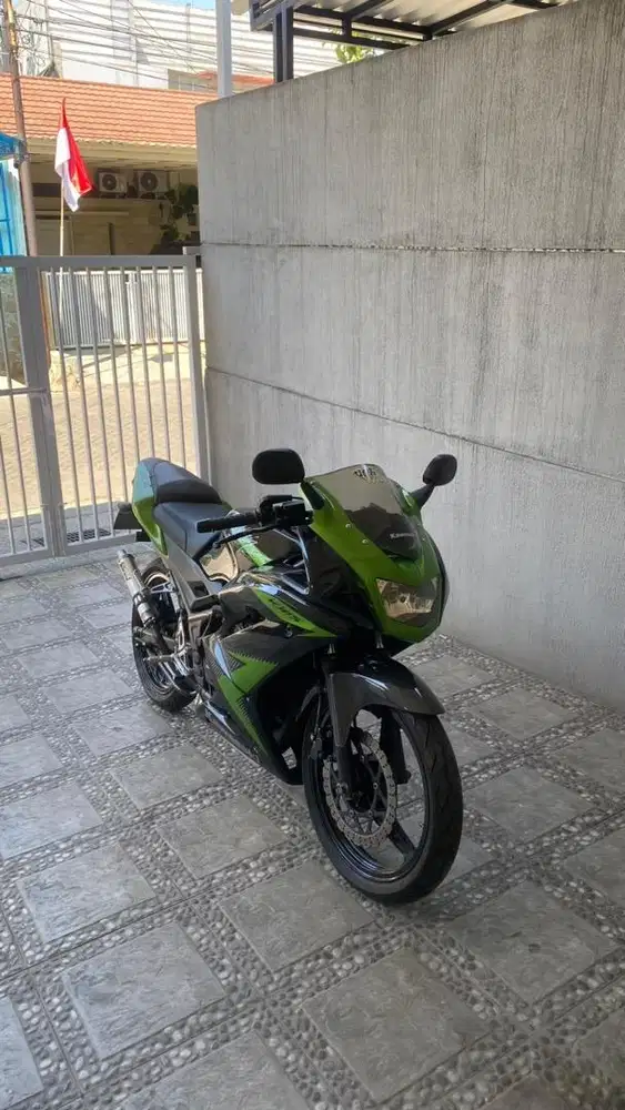 Kawasaki Ninja RR New 2014