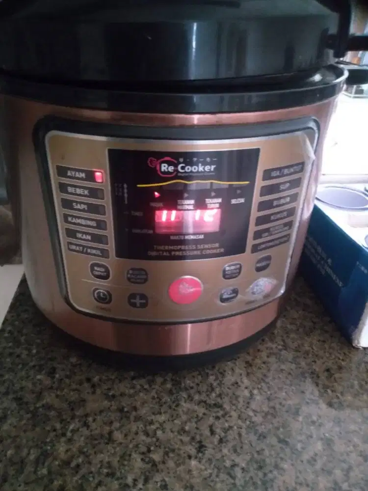 RE Cooker Digital Preasure Cooker 16