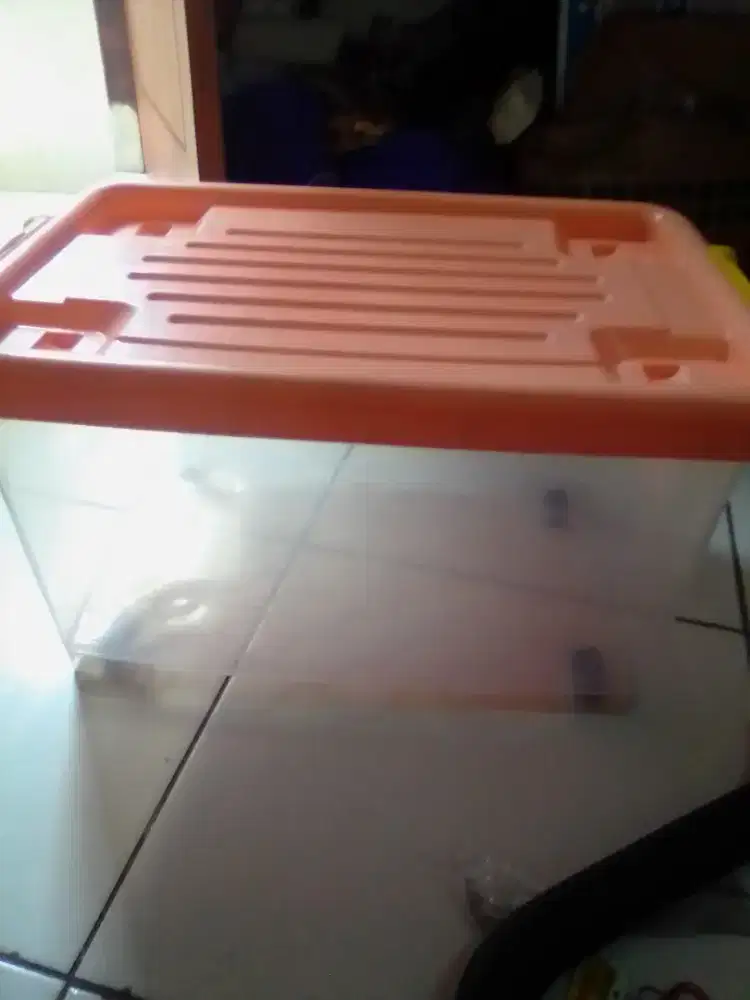 Box container dll