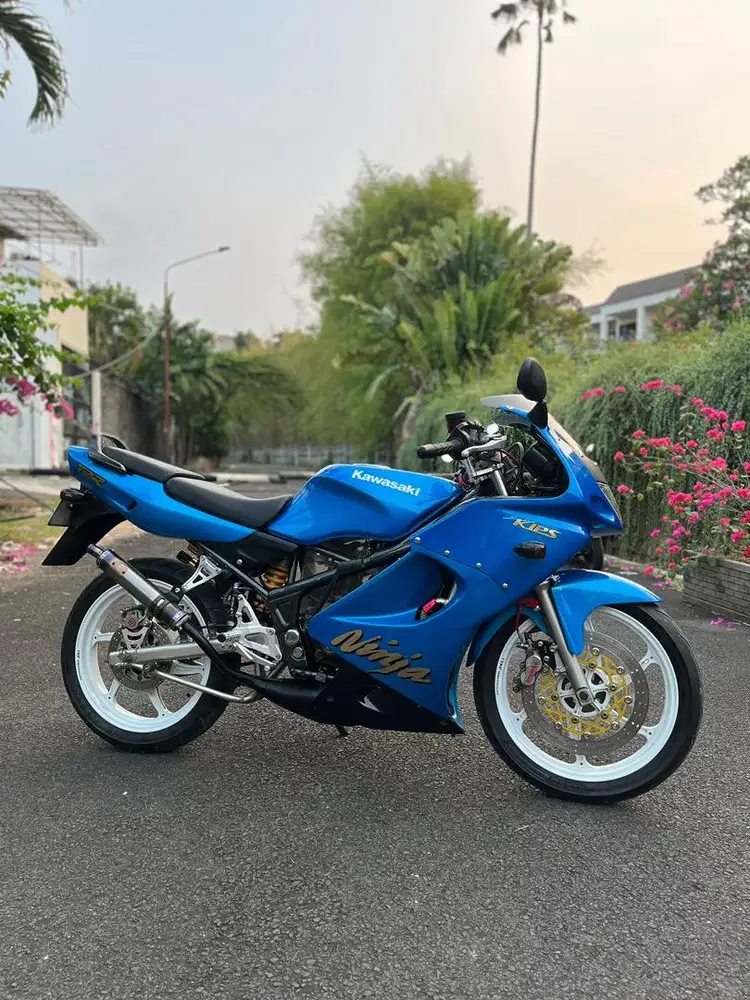 ninja rr old 2011 full optio