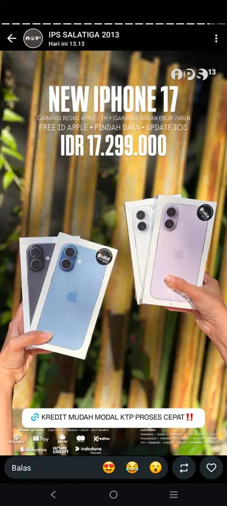 Iphone ips 2013