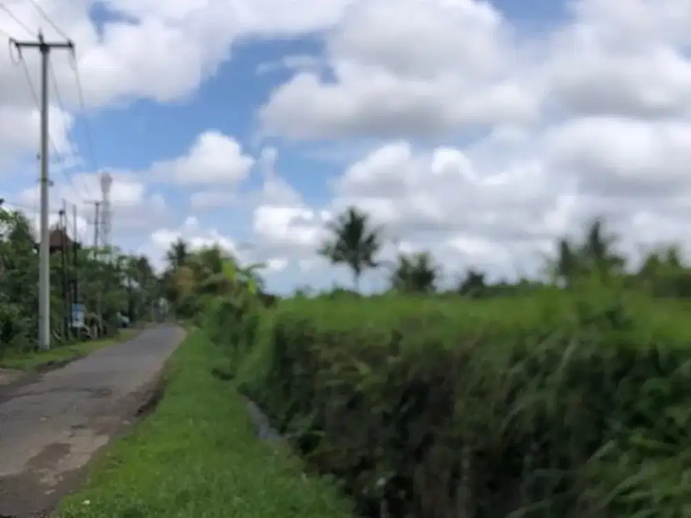 Tanah Murah Dekat Ubud View Sawah Luas 28,2 Are Cocok Villa di Pejeng, Gianyar