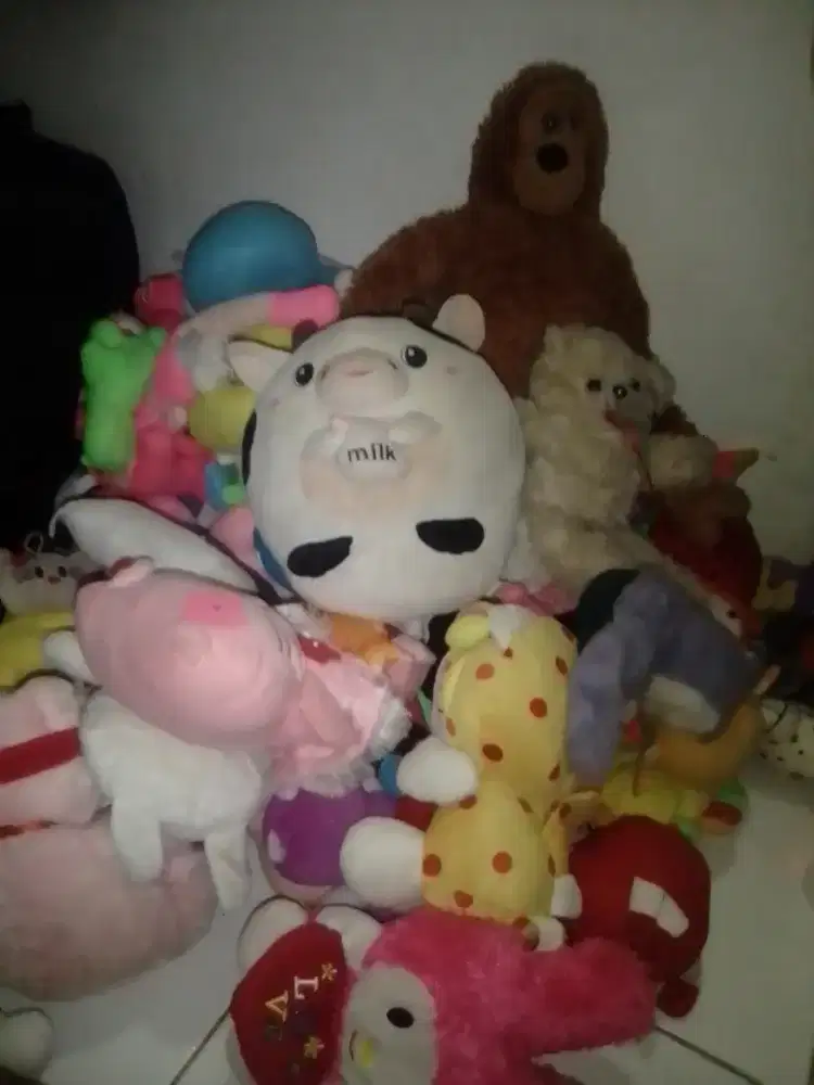Borong boneka mau pindahan