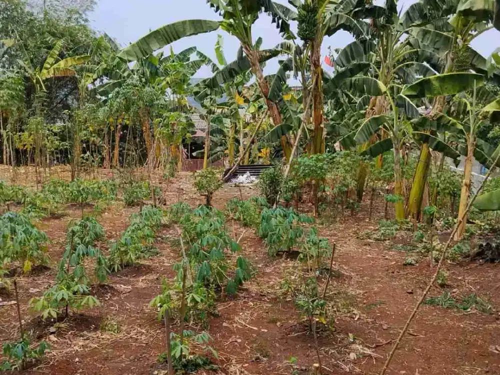 Dijual Murah Tanah Darat di Tambun Selatan Bekasi