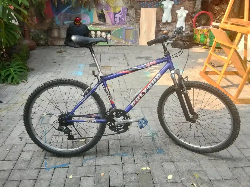 Sepeda Polygon mt100