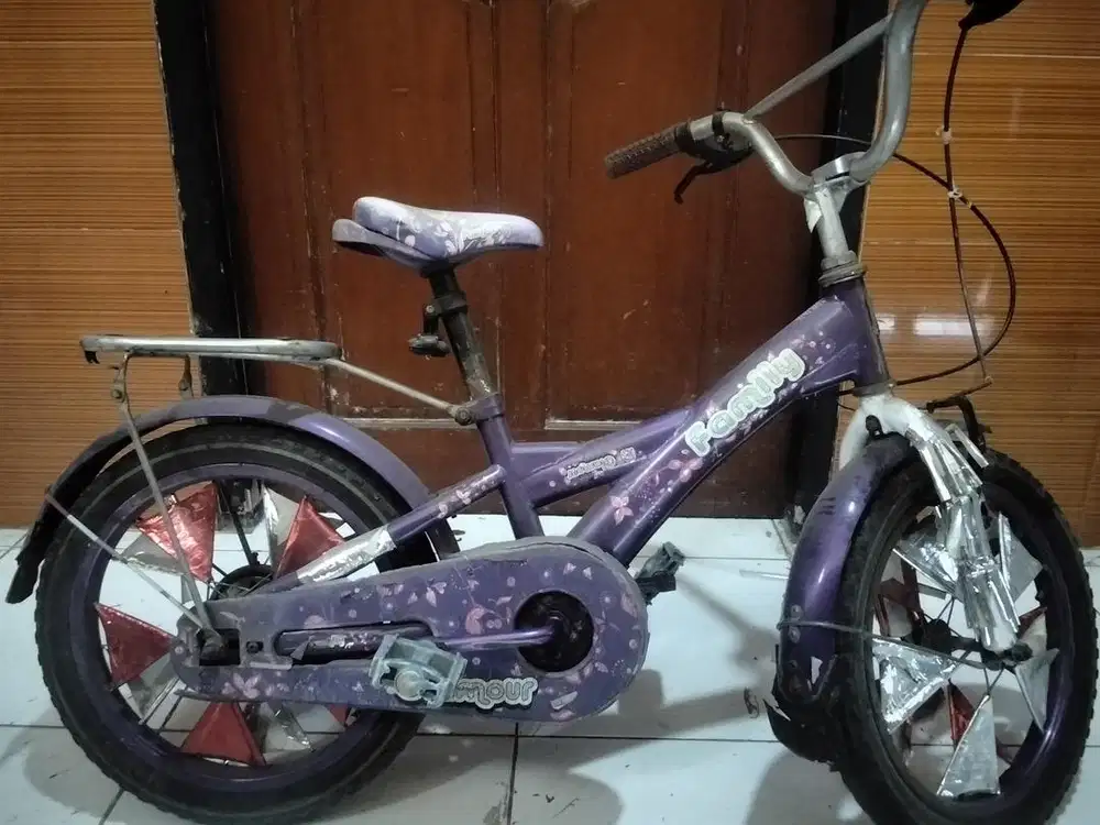 Sepeda roda 2 anak perempuan - sepeda ungu