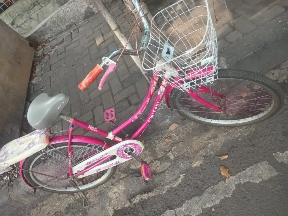 Sepeda keranjang dewasa uk 24 siap gowes