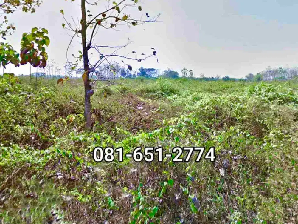 Tanah di Jombang