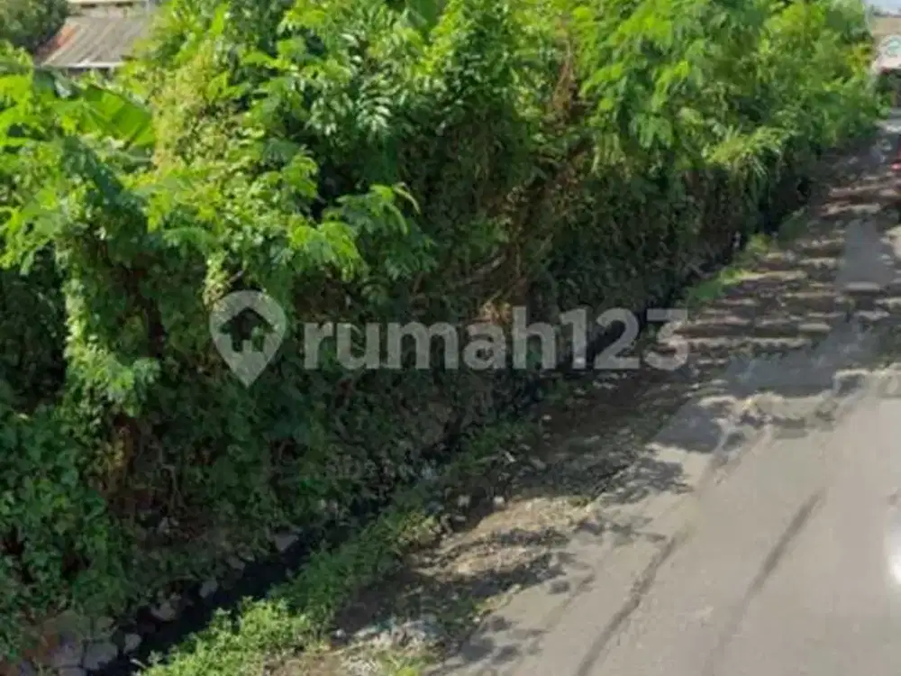Tanah 23 Are di Jalan Tukad Petanu Panjer - Lokasi Komersial Strategis