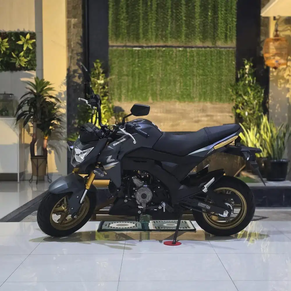 Kawasaki Z125 Pro Ori (bukan custom)