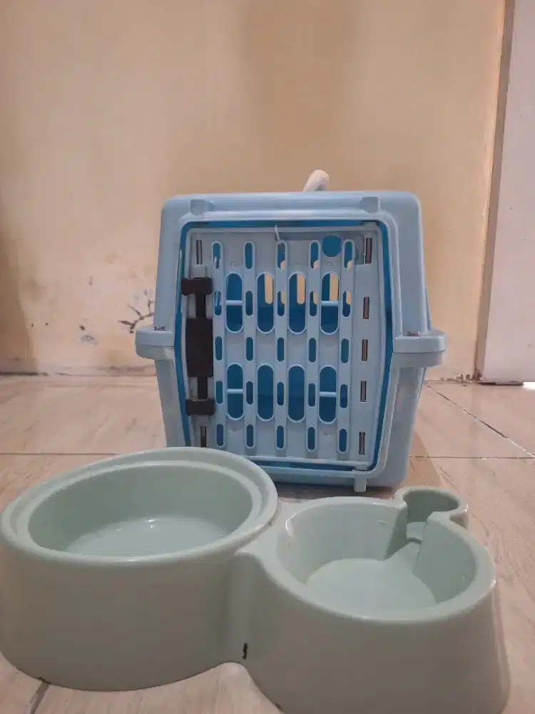 Pet Cargo Kandang Kucing