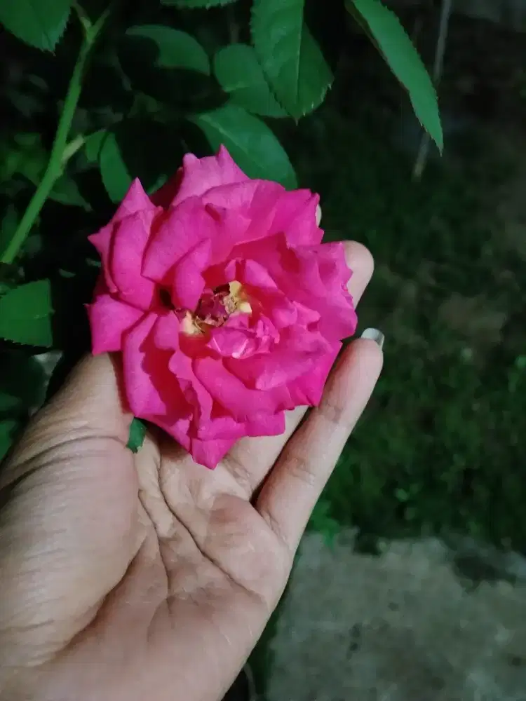 Cari pekerjaan art laju area Mertoyudan