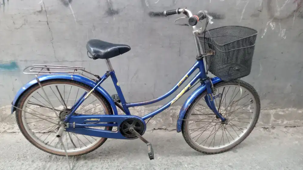 Sepeda mini/keranjang Jieyang Ukuran 24