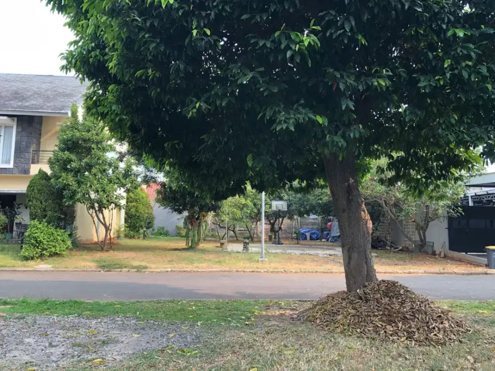 DIBUTUHKAN ART MENGINAP