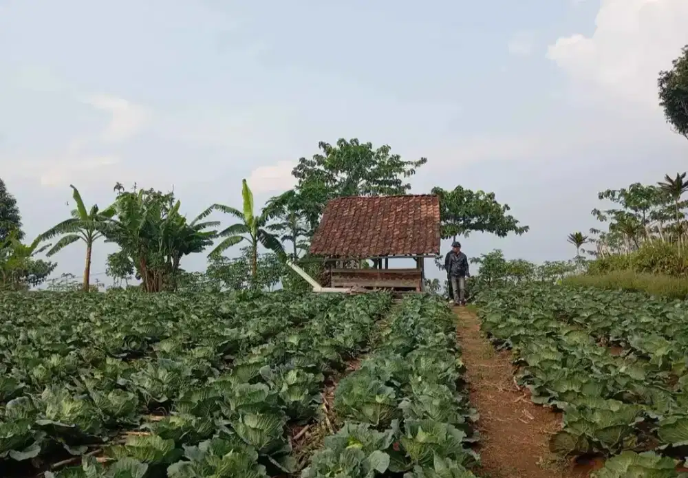 JUAL TANAH DATAR AREA SOREANG PANANJUNG