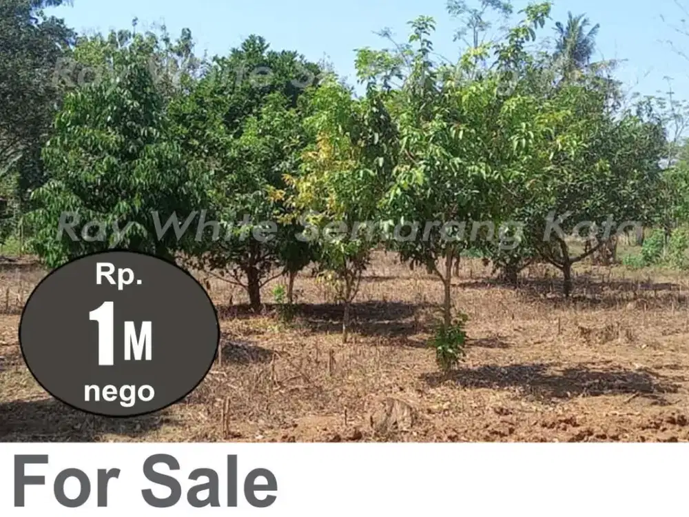 DIJUAL TANAH DI MIJEN A4271