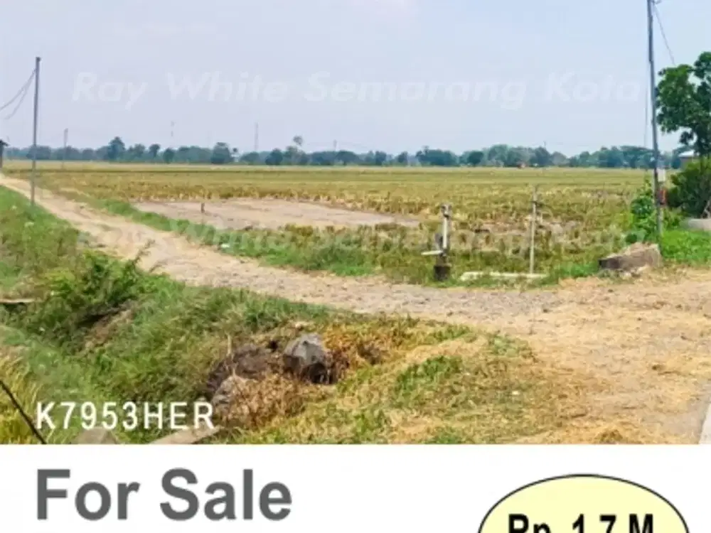 DIJUAL TANAH DI SRAGEN K7953