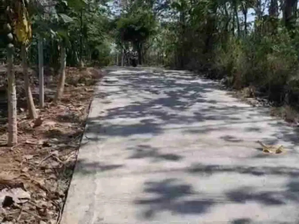 Dijual Lahan Pekarangan Luas Murah Ideal Untuk Rumah Subsidi
