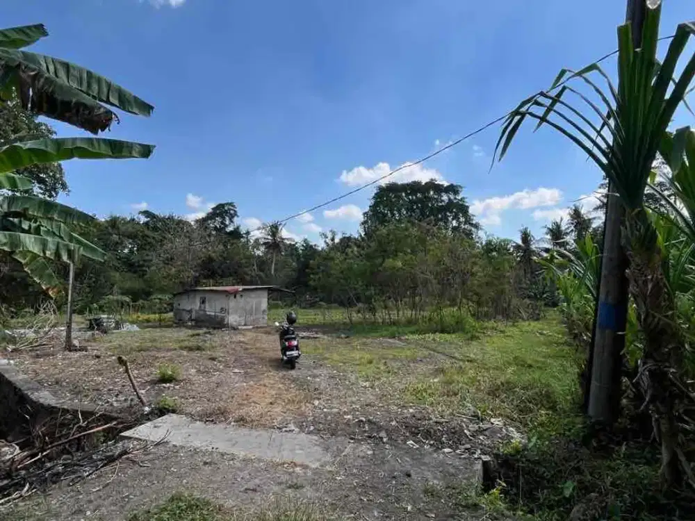 Tanah Los Sungai Yeh Gangga Tabanan
