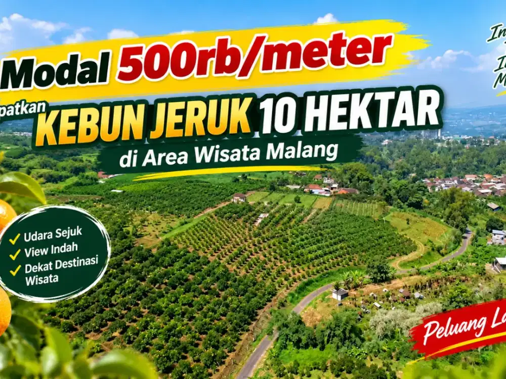 Cuma 500rb per meter dapat Kebun Jeruk Luas di Area Wisata Malang
