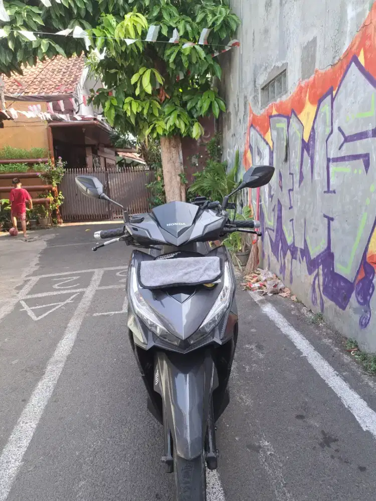 Vario old 2015 mulus