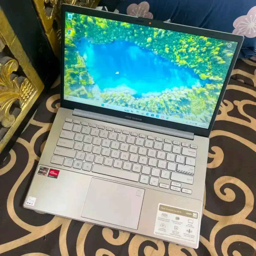 Asus vivobook Go 14