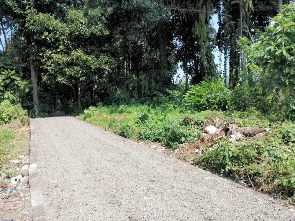 Tanah Plot Kecil Singakerta Ubud