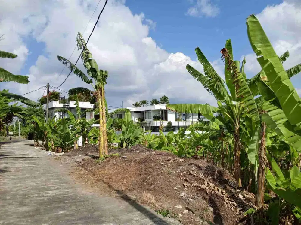 DIJUAL CEPAT TANAH 310m² Jl.TUMBAK BAYU PERERENAN BADUNG BALI.