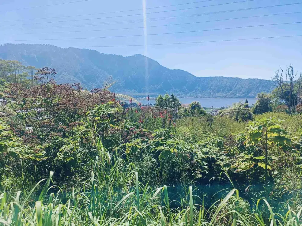 Tanah View Danau Beratan Di Candi Kuning Bedugul